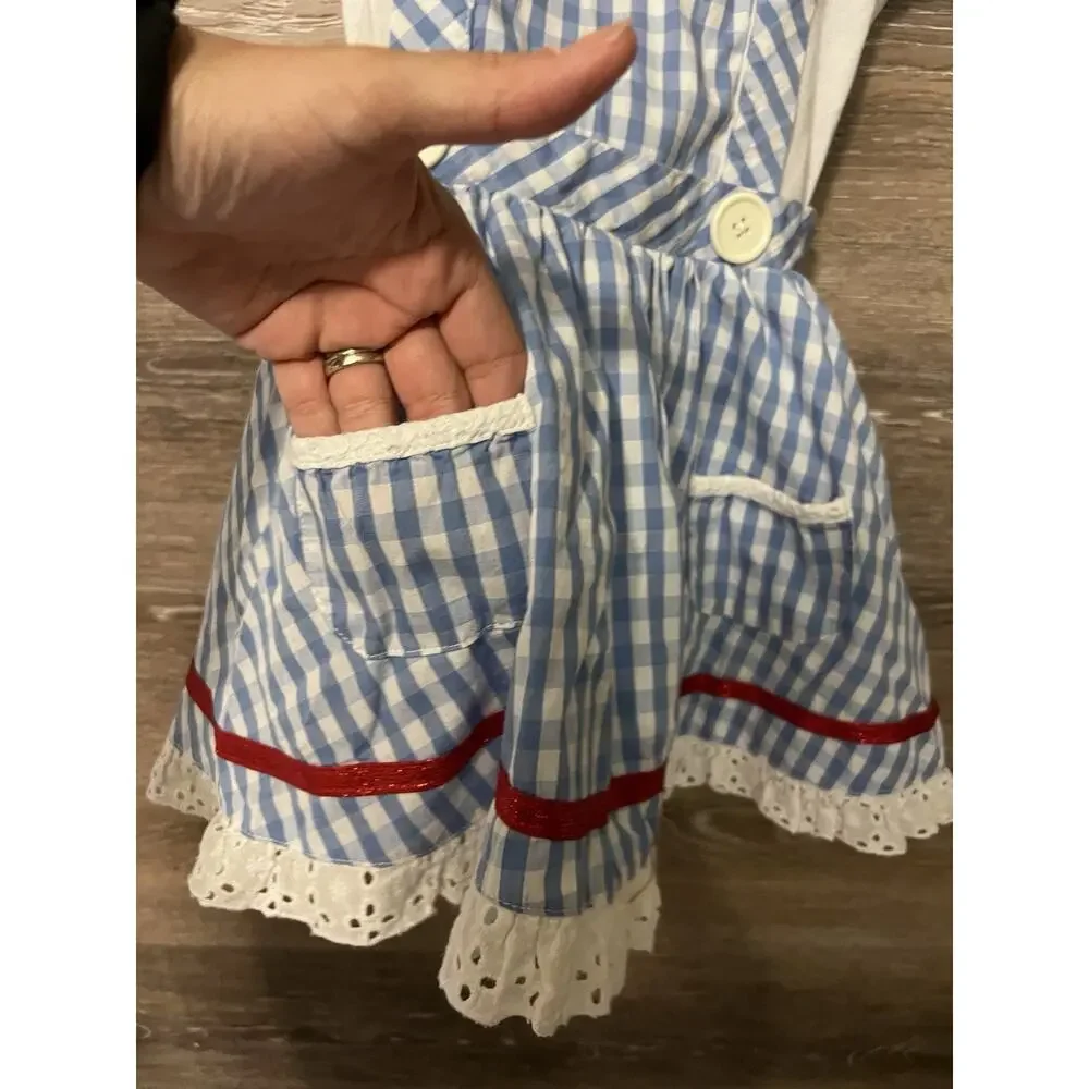 Wizard of Oz Dorothy Dress Child’s Small Costume Homemade Halloween Sz 3T